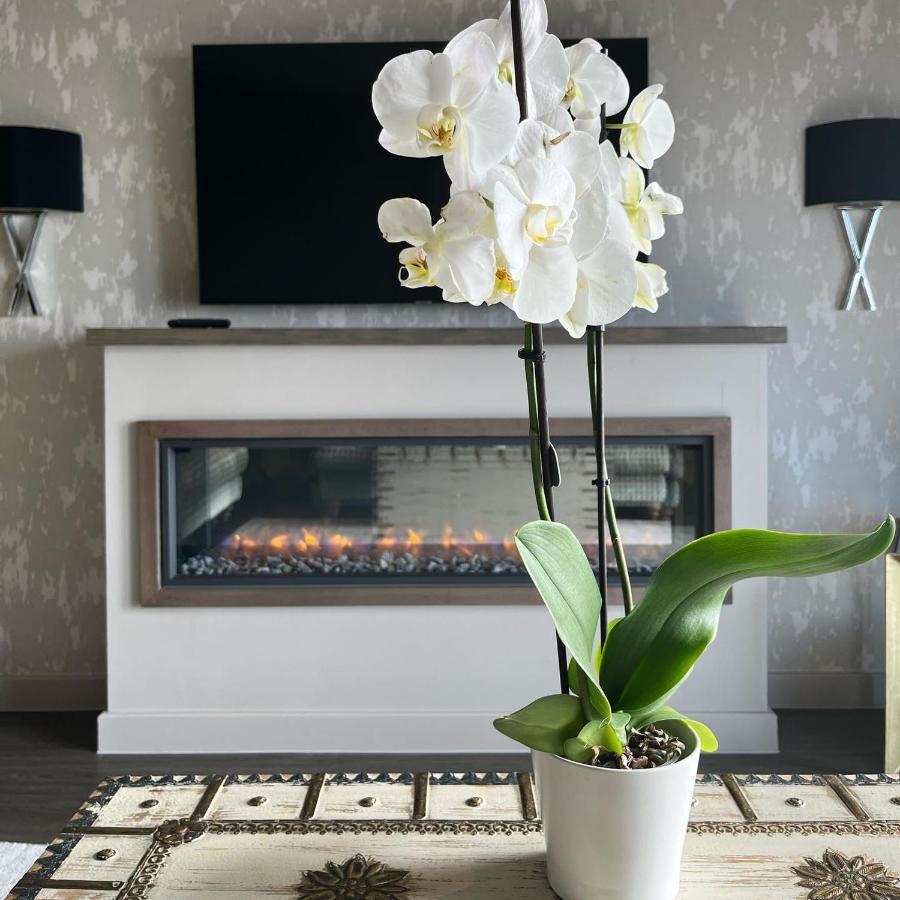 Boulevard Hotel Blackpool Exterior foto A white orchid in a living room